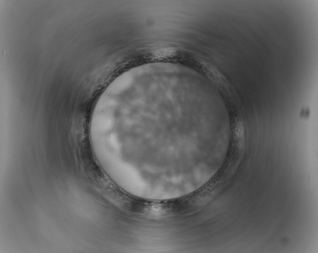 X0000113230565200910011412