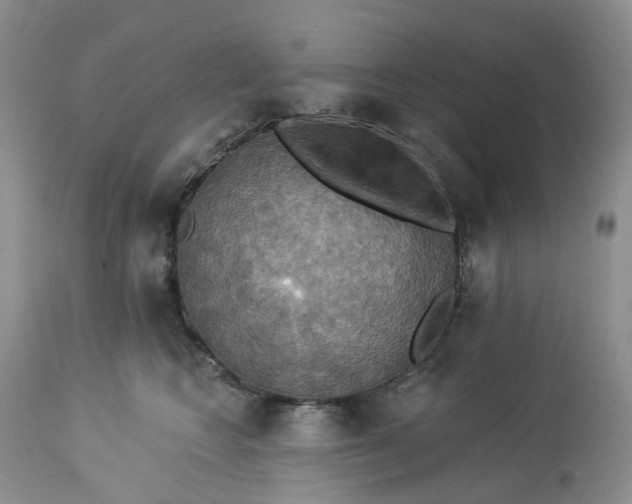 X0000113230566200910011412