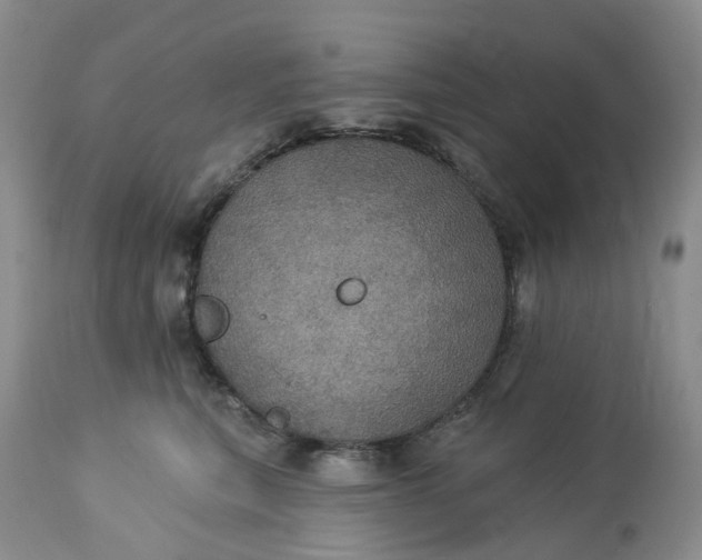 X0000113230567200910011412