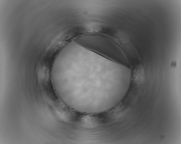 X0000113230568200910011412