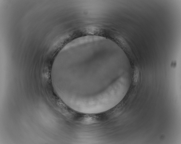 X0000113230569200910011412