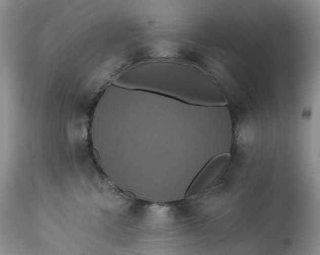 X0000113230570200910011412