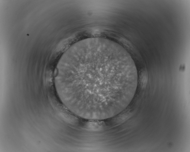 X0000113230571200910011412