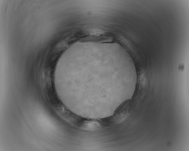 X0000113230572200910011412