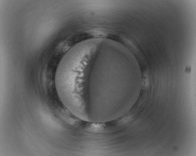 X0000113230573200910011412