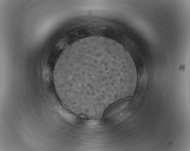 X0000113230574200910011412