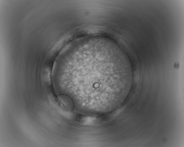 X0000113230575200910011412