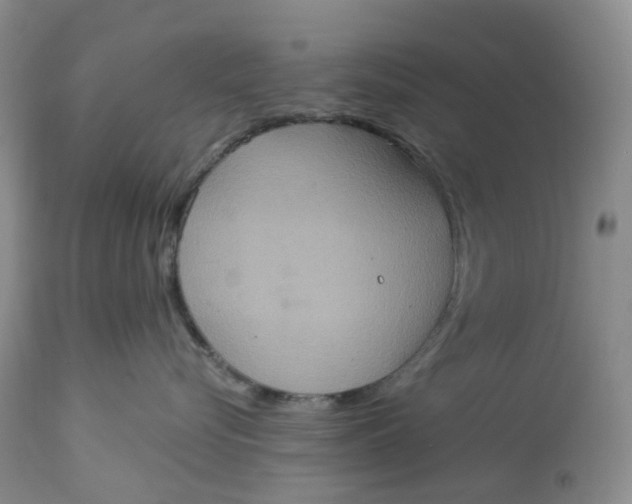 X0000113230576200910011412