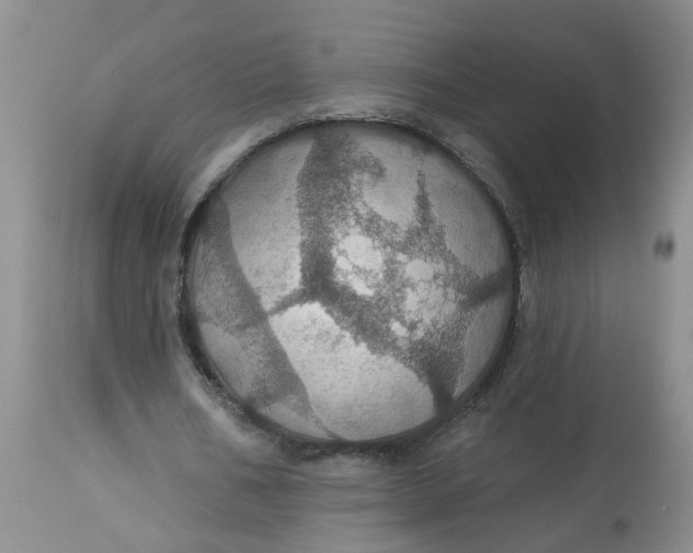 X0000113230578200910011411