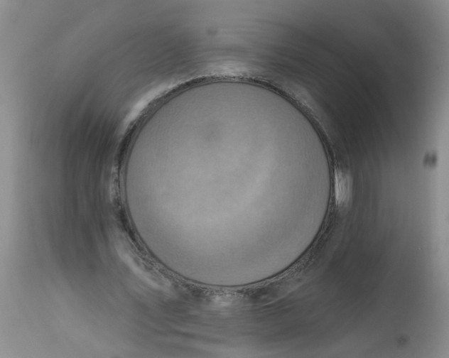 X0000113230579200910011411