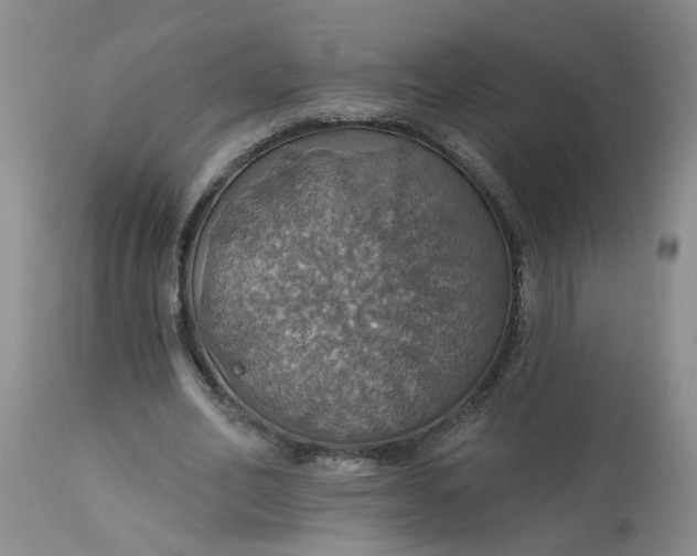 X0000113230582200910011411