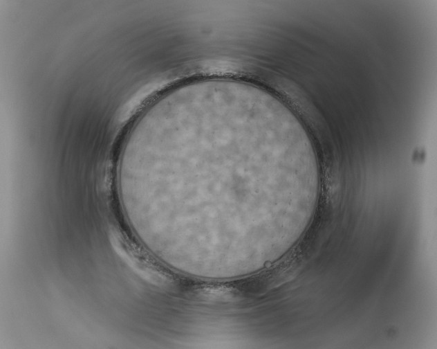 X0000113230583200910011411