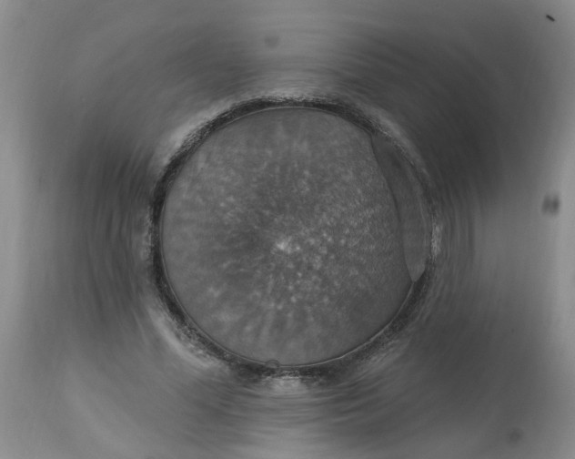 X0000113230588200910011411