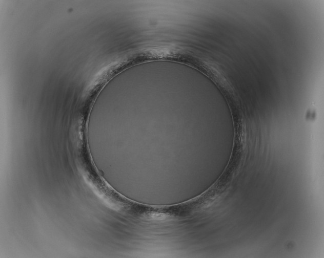 X0000113230590200910011411