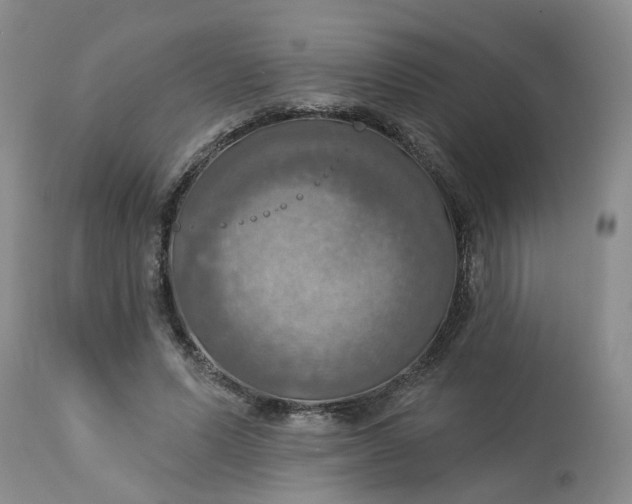 X0000113230591200910011411