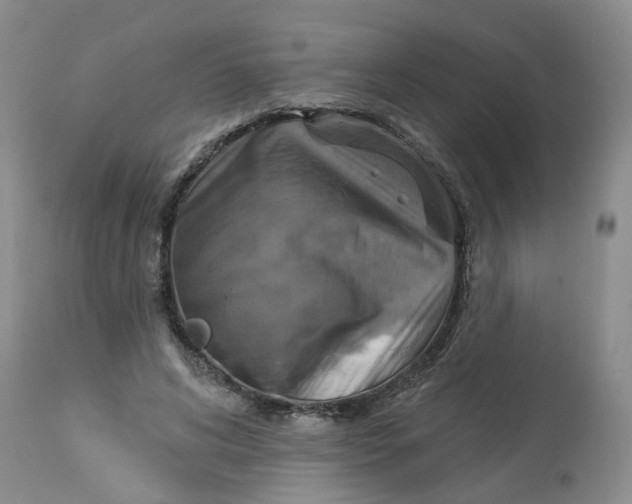 X0000113230592200910011411