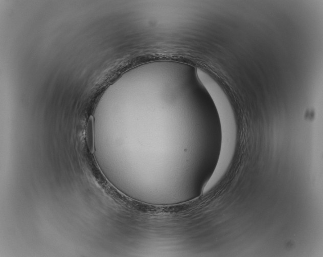 X0000113230593200910011411