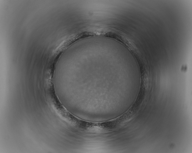 X0000113230594200910011411