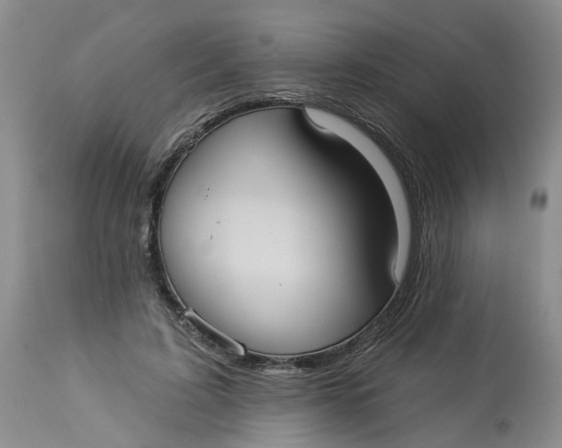 X0000113230595200910011411