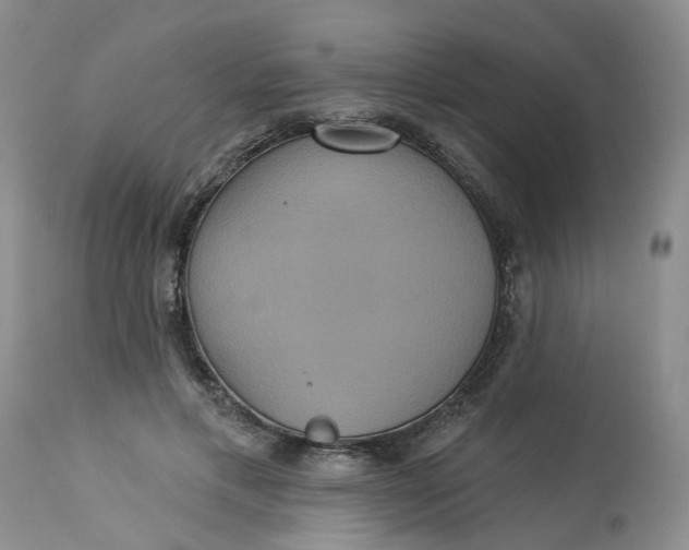 X0000113230597200910011411