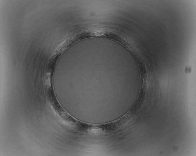 X0000113230598200910011411