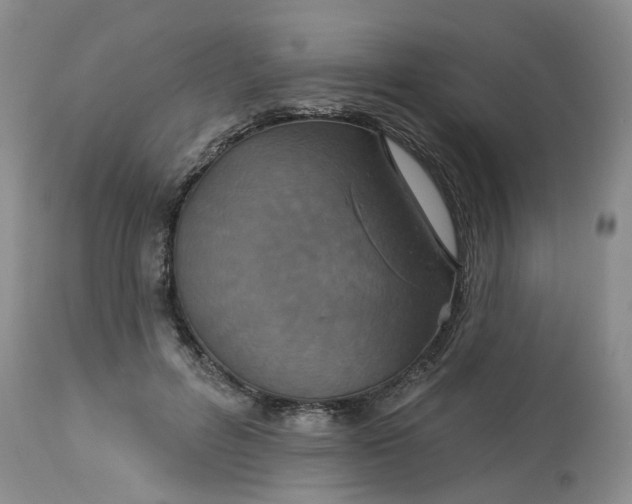 X0000113230600200910011411