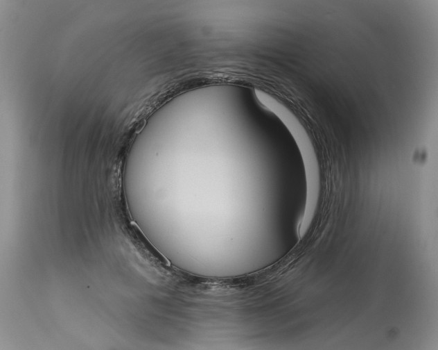 X0000113230601200910011411