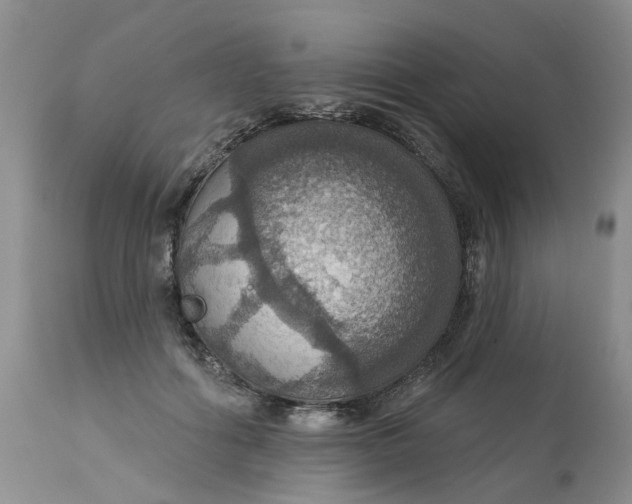 X0000113230602200910011411