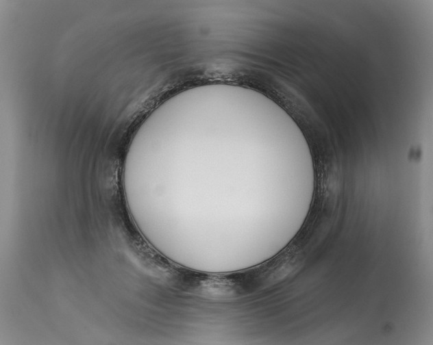 X0000113230603200910011411