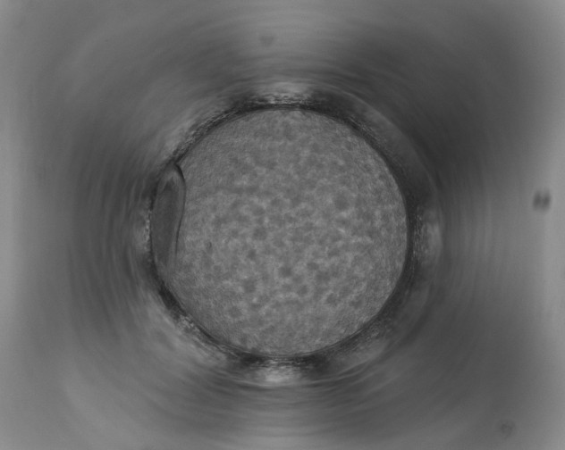 X0000113230604200910011411