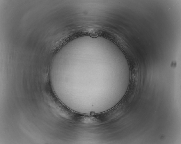 X0000113230605200910011411