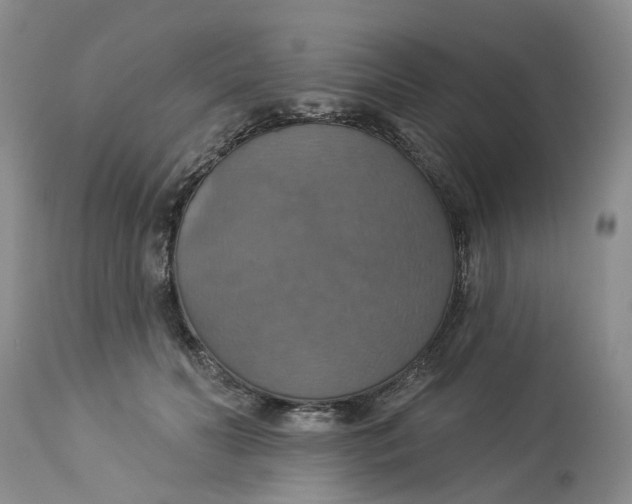 X0000113230606200910011411