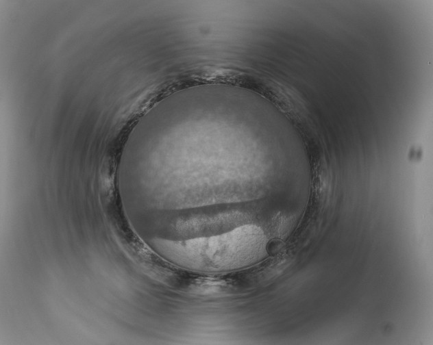 X0000113230607200910011411