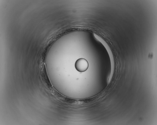 X0000113230609200910011411