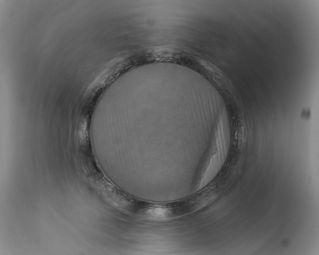 X0000113230610200910011411