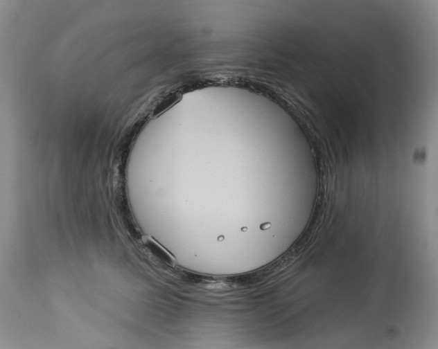 X0000113230611200910011411