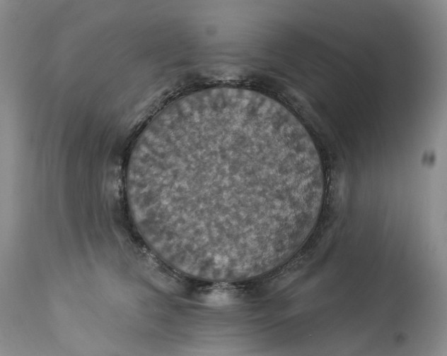 X0000113230612200910011411