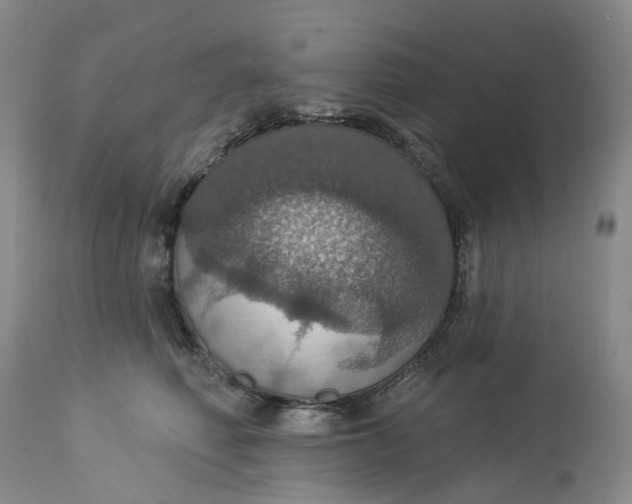 X0000113230614200910011411