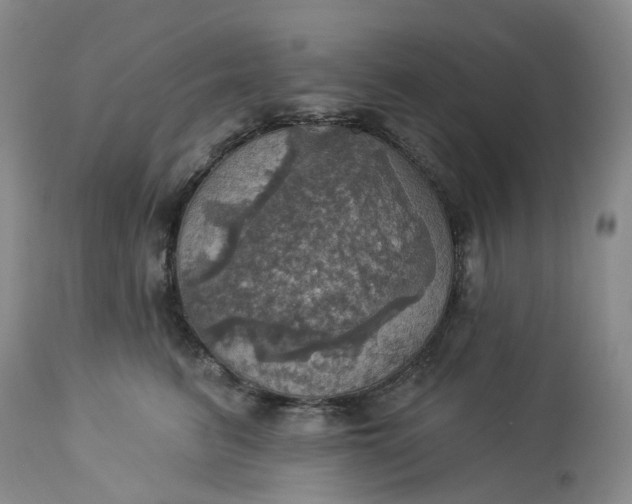 X0000113230615200910011411