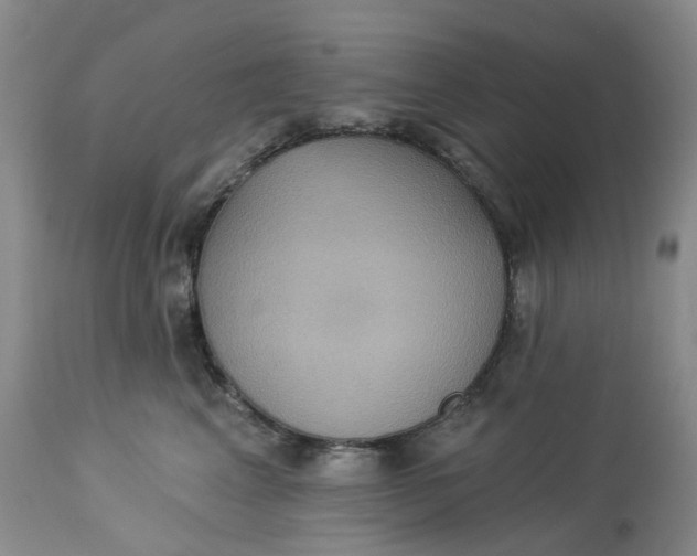 X0000113230617200910011411