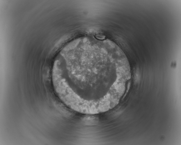 X0000113230619200910011411