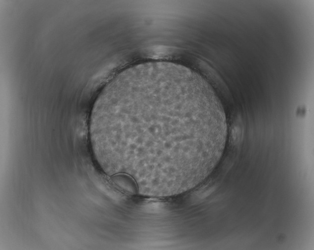 X0000113230620200910011411