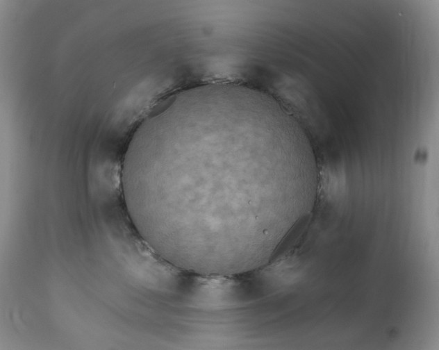 X0000113230621200910011411