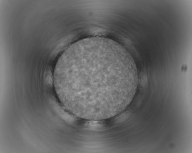 X0000113230622200910011411