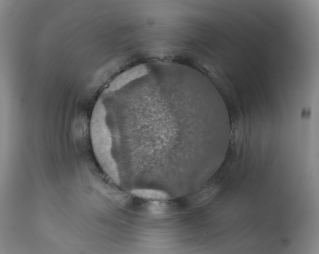 X0000113230623200910011411