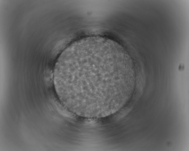 X0000113230624200910011411