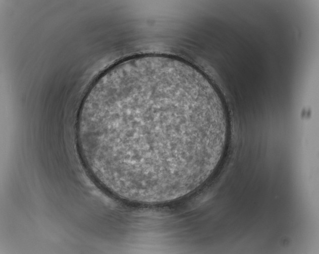 X0000113230625200910011410