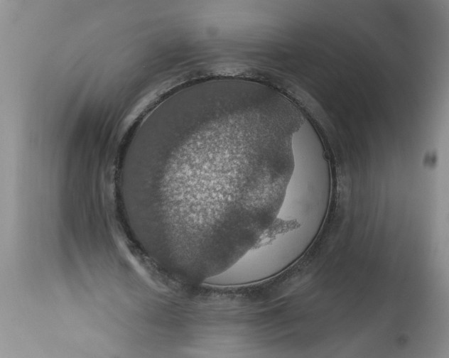 X0000113230626200910011410