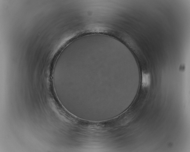 X0000113230627200910011410