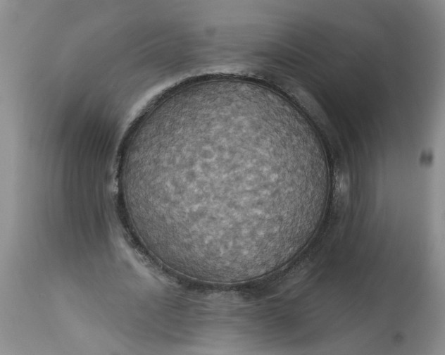 X0000113230628200910011410